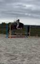 Poney de sport cce cso