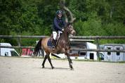 Poney de sport pfs