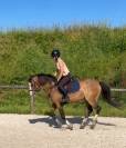 Ponette de sport