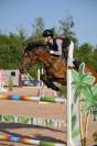 Poney de cso performant à vendre 