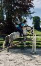 Poney français de selle pp