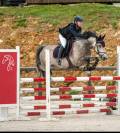 Top poney de sport pour cso as2/as1