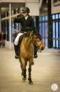 Excellent poney de grand prix à vendre 