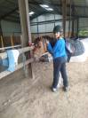 A vendre joli poney isabelle pie tobiano oncp 1m35 