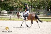 Vous cherchez le premier poney d obstacle idéal ?