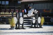 Poney cso as2/as1