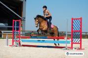 Ponette connemara 6 ans idéale enfants