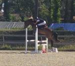Pfs de sport 