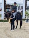 Super poney de 7 ans, étalon pfs agré