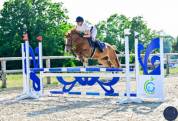 Superbe ponette c, championne de france 