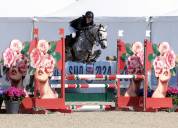 4 ans pfs clef en main