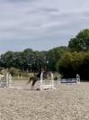 5ans welsh b