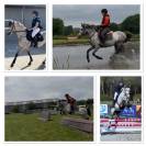 Poney d potentiel cce/cso (vet check + xrays ok )