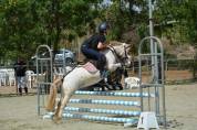 Poney polyvalent 
