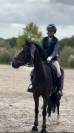 à vendre — ponette d d’exception pour le sport 