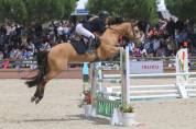 à vendre super poney de grand prix maitre d école 
