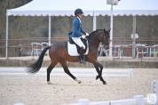 Le champion de france des 4 ans dressage !