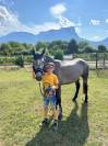 Poney connemara oc de 4 ans.