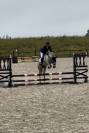 Ponette d 