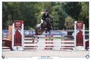 Pfs hongre 5 ans cso