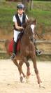 Gold - poney d exception, super resultats pelite/as2