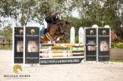 Jument  • 6 ans • bwp  • cyklon texass x top nonstop