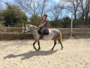 Super ponette à vendre de 6 ans sortie en cso