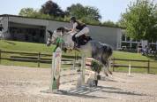 Poney de 6 ans pfs - 148cm - fils de uhelem de seille