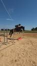 Ponette de sport - 5 ans - d - pfs