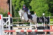 Poney de sport