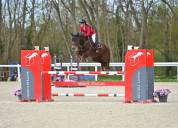 Katanga du petit fé - classé as poney 2 - 6 ans