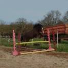 Ponette connemara  5 ans - 145 cms